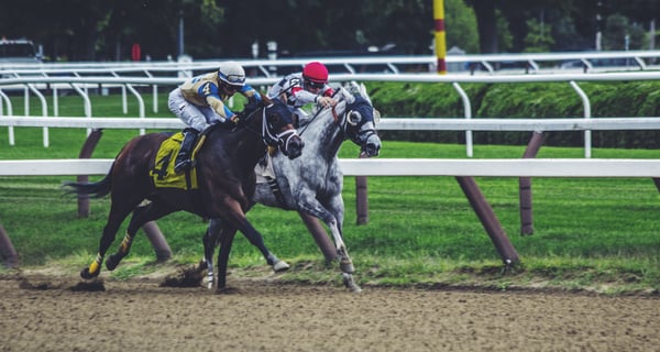 Horse racing is a long-time favorite of sports bettors